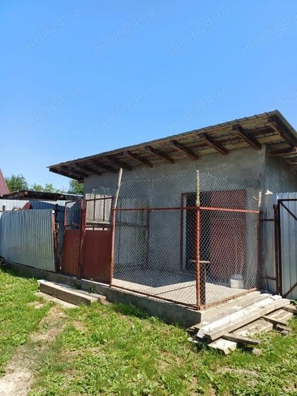 Vand casa cu teren - 5