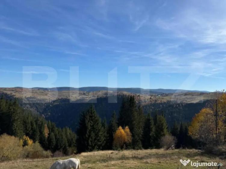 Teren intravilan, front la strada, 3321mp, utilitati, Marise - 9