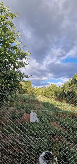 Vand casa la tara cu livada - 3