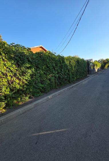 Ocazie! Teren intravilan, 600 mp, Dr.Taberei, Ghencea - 3