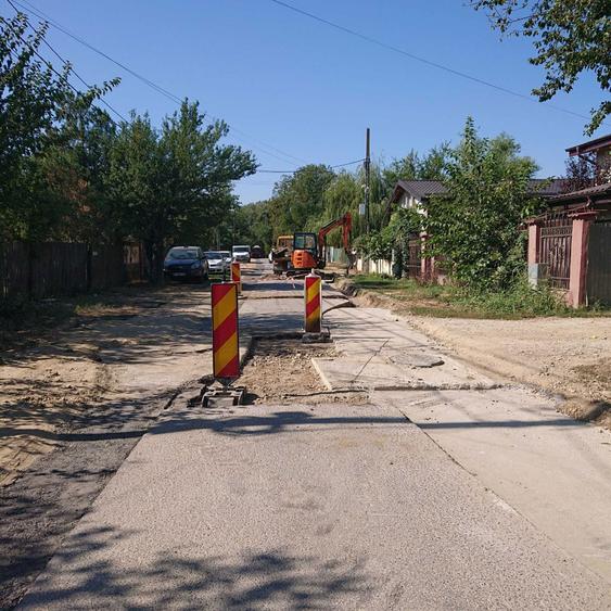 Teren vanzare Ciolpani / Luparie 10.000 PROMOTIE DE SARBATORI - 6