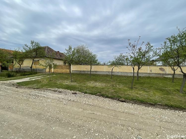 Vand casa in Judetul Arad - 6