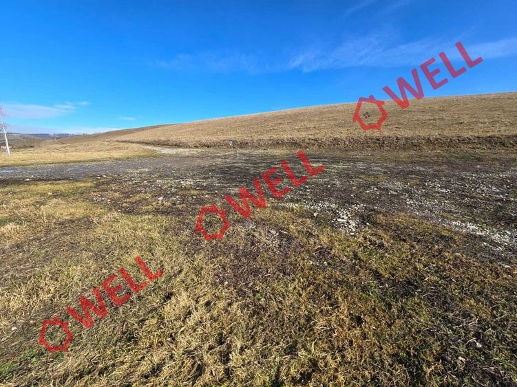 Teren intravilan de vânzare în Barcani! - 4