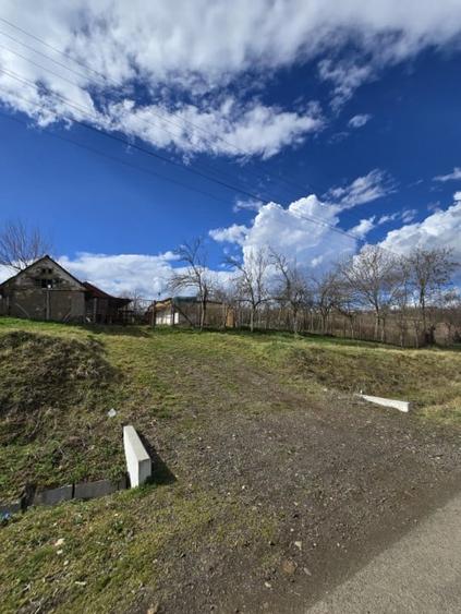 Herneacova-Casa si Teren-Livada- 2876 mp- Front 37m - 6