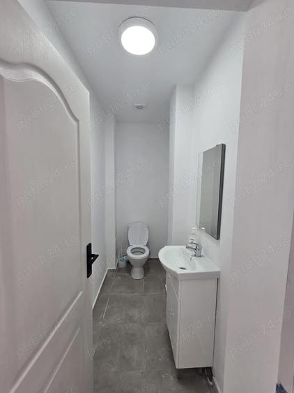 Spa?iu de inchiriat - 4