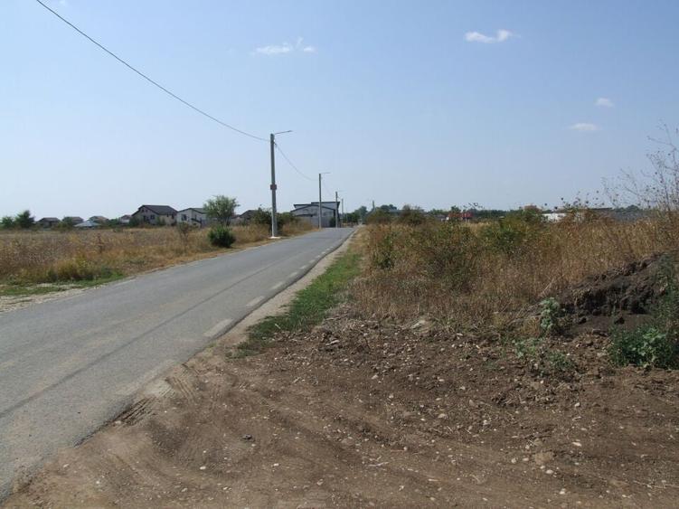 Domnesti-Ciocarliei(Afinului-Fragilor). - 12