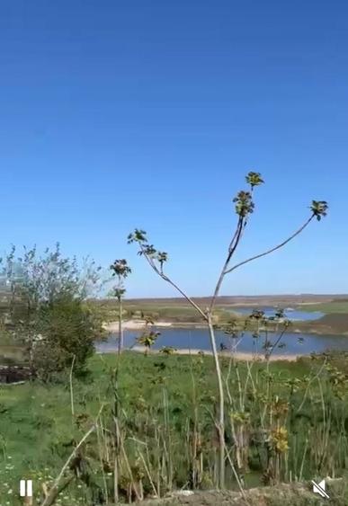 Teren intravilan Mariuta cu vedere la lac 5000 mp, 42 km de Bucuresti - 3