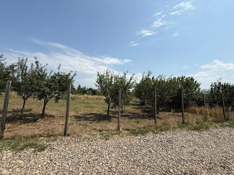 TEREN PENTRU CONSTRUCTIA CASEI, MIROSLAVA, VALEA URSULUI - 2