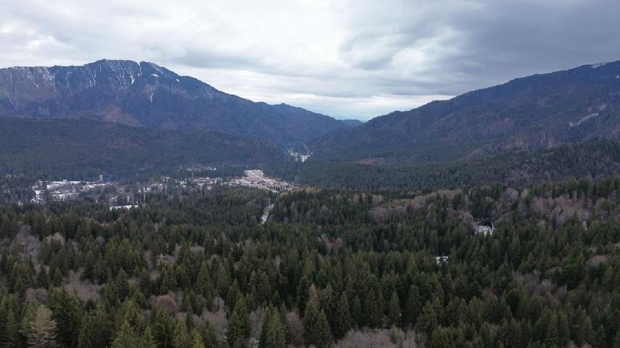 Teren intravilan 3.500 mp Cioplea - Predeal - 5