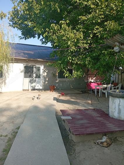 Se vinde casa in Gaujani jud Giurgiu - 3