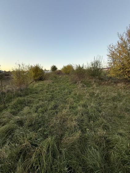 Teren extravilan de vanzare in Salicea 916mp+84mp drum necesita PUZ - 6