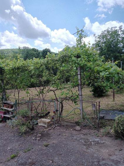 Vand casa sat Badeni, com. Moldovene?ti, jud. Cluj - 9