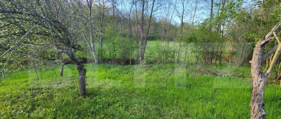 Teren 6650 mp, cu casa nefinalizata de 111 mp, in Nisipoasa - 3