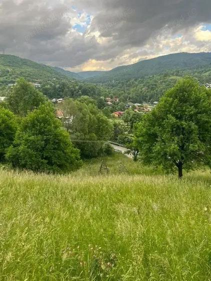 Teren intravilan 7426 mp de vanzare in Valea Doftanei utilitati la limita proprietatii - 4