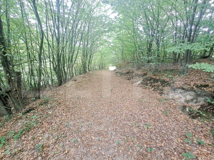 Casa de vanzare – Colonia 1 Mai 75.000 EURO - 10