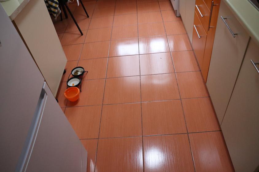 Bd 1 Decembrie 1918/Ozana,ale,Ciucea - 16