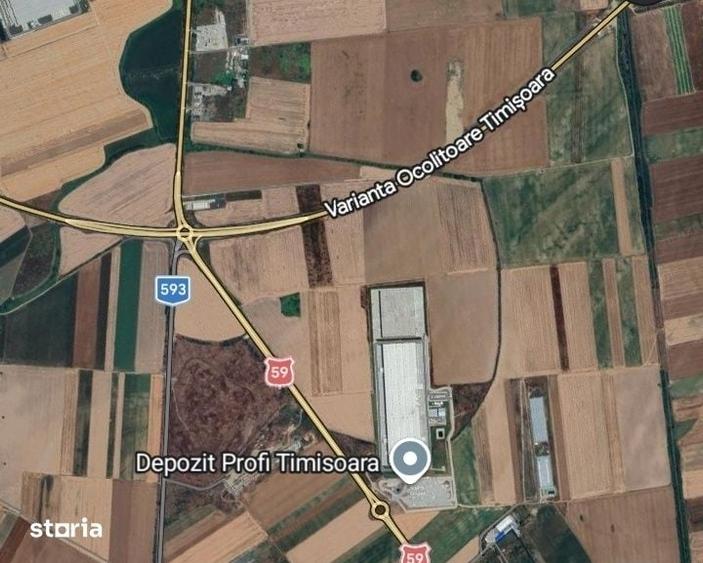 Teren de 30000 mp, în Șag