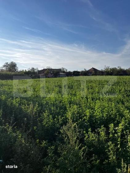 Casă cu 2 camere în Mihai Viteazu