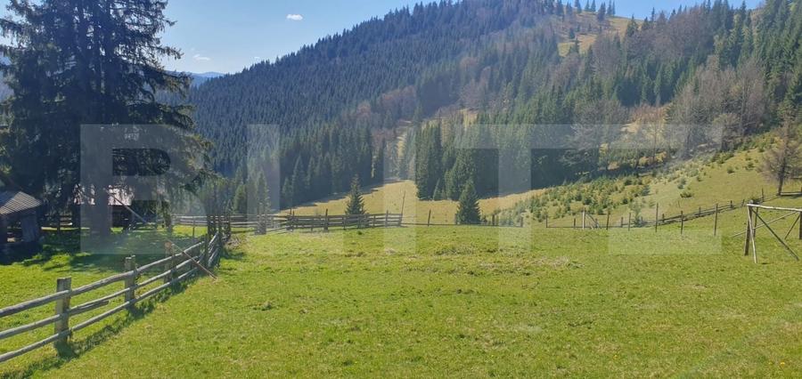 Teren Construcții extravilan de 206189 mp, în Vatra Dornei