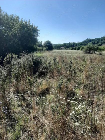 Terenuri 3699 mp, oras Lipova - 3