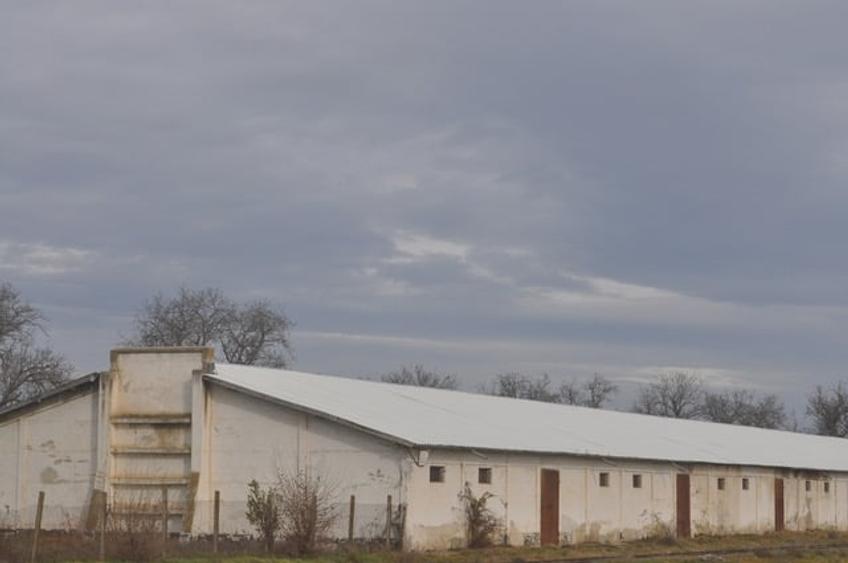 DEPOZIT CEREALE - CEAMURLIA DE JOS/STATIA CFR TVA INCLUS - 4