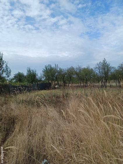 Teren intravilan cu casa - 3