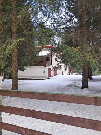 Casa vacanta Dealu Negru Cala?ele Padure - 6