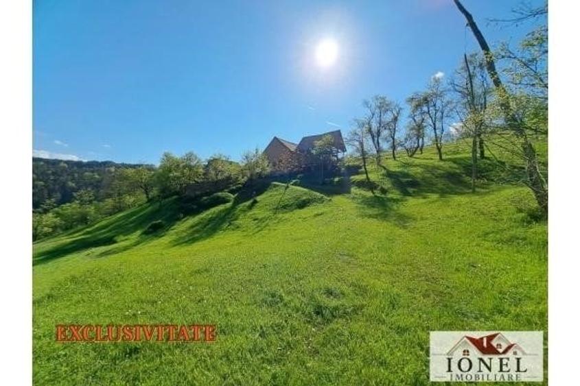 Casa de vanzare cu 46774 mp teren in zona Vintu - 1