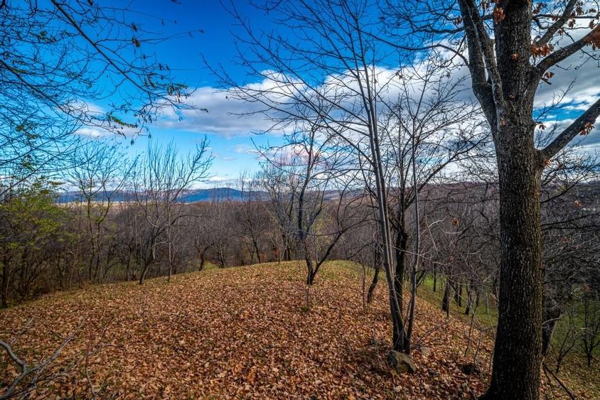 Teren intravilan 4384 mp – Comuna Talea,  județul Prahova - 3