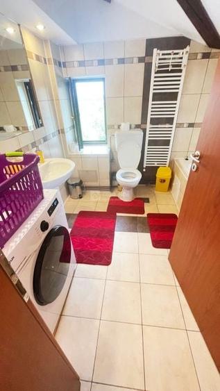 Moara de Vant, 2 camere mobilat si utilat, ready to move - 10