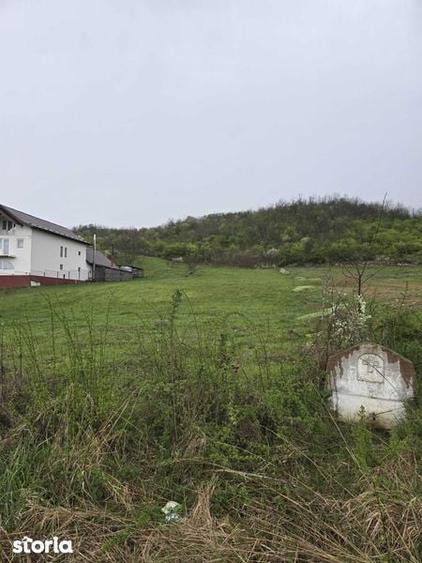 teren constructie CONTESTI- davidesti 1600m - 8