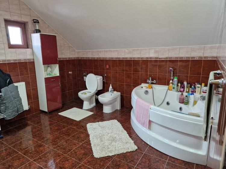 Mosnita Veche - Casa individuala cu 3 dormitoare si 2 garaje - 3