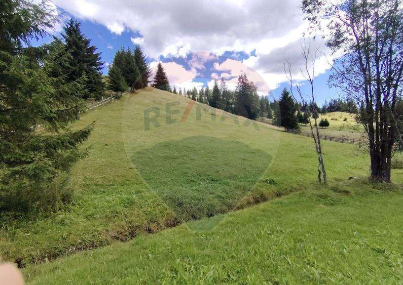 Teren de 14318m.p. in Paltinis, la 100m de strada Princi... - 4