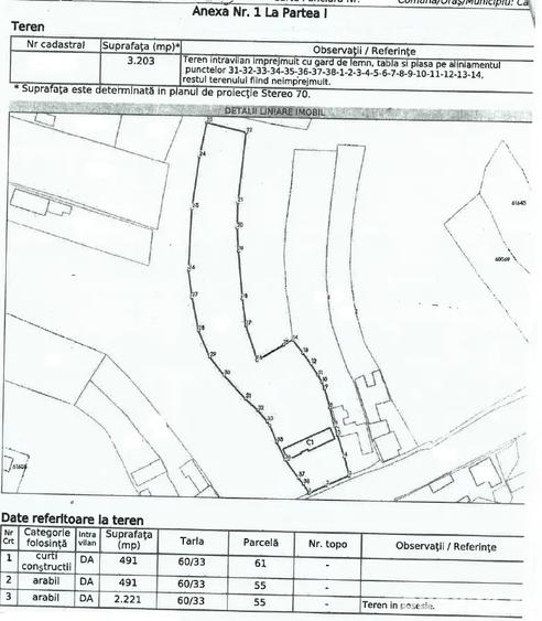 Casa batraneasca in Casin, 3200 mp - 2