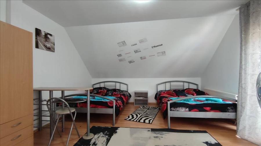 Pensiune in Sasca Montana - 7