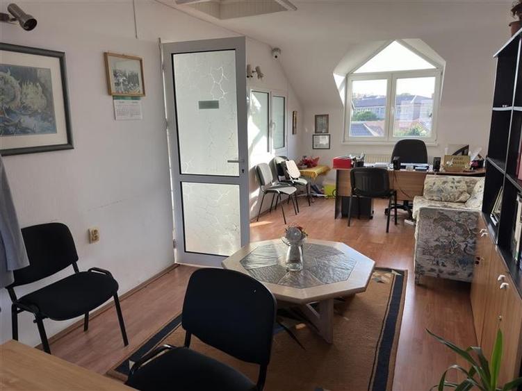 FILM&3D! Casa multifunctionala, recomandata si pentru cabinete medicale,birouri, - 7