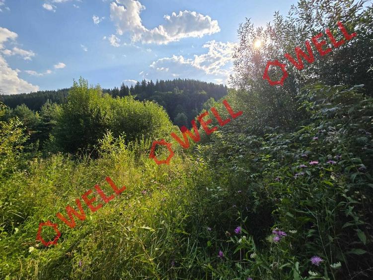 De vânzare teren extravilan în Întorsura Buzăului, pe punctul numit „Tomoja” - 6