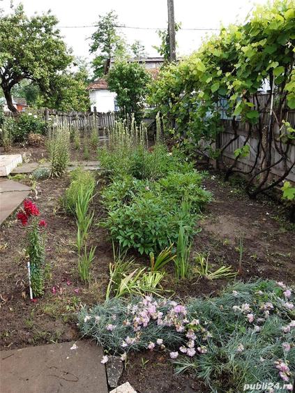 Vand casa batraneasca din caramida cu teren 3120 de mp, 31500 de euro negociabil - 6