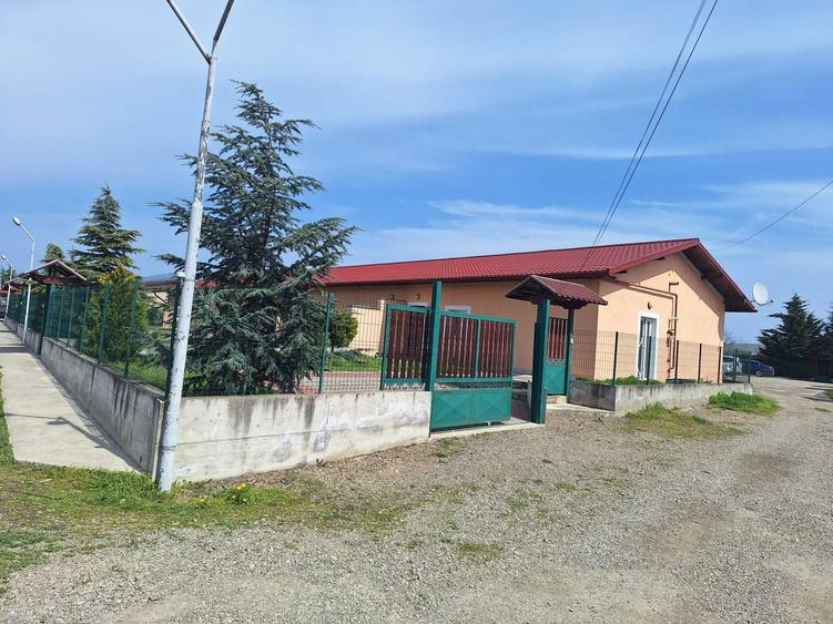 Apartament 2 camere parter cu curte proprie - 2