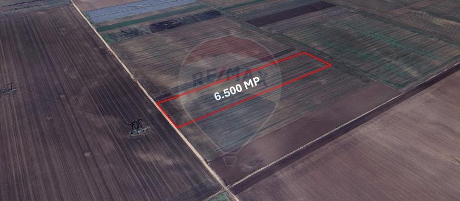 Teren extravilan de vanzare - 6.500 mp, Harman,  Brasov - 1