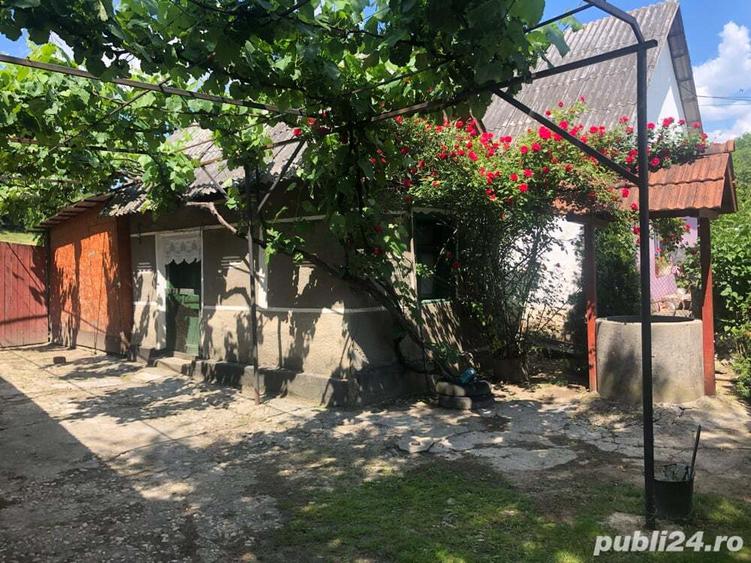 vand casa la ?ara - 8