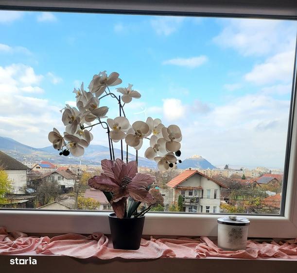 SPATIU COMERCIAL-Cladire P+2- Investitie la cheie in DEVA - 6