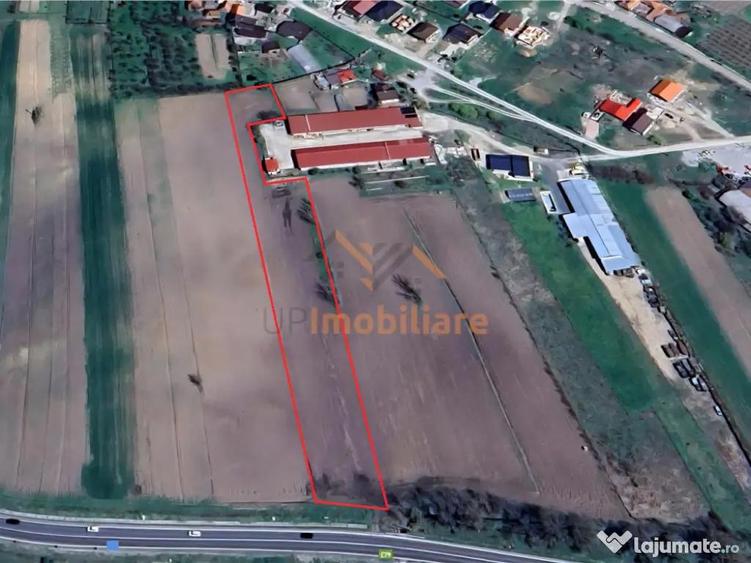 TEREN INTRAVILAN | 4300 MP | HIDISELUL DE SUS | BIHOR - 6