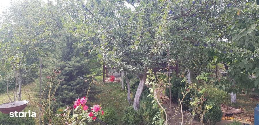 PROPRIETAR: Vila 5 Camere Pantelimon | P+1 (210 mp) + M | Oportunitate - 3