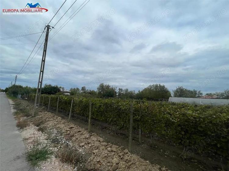 Teren de vanzare in localitatea Iazurile judetul Tulcea - 11