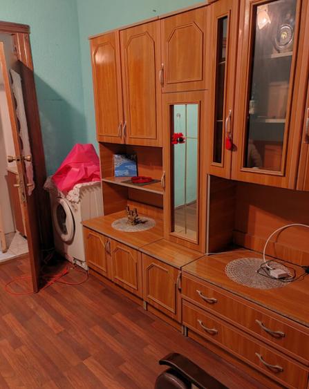 Camera de camin - 21 mp - Valea Rosie - 1