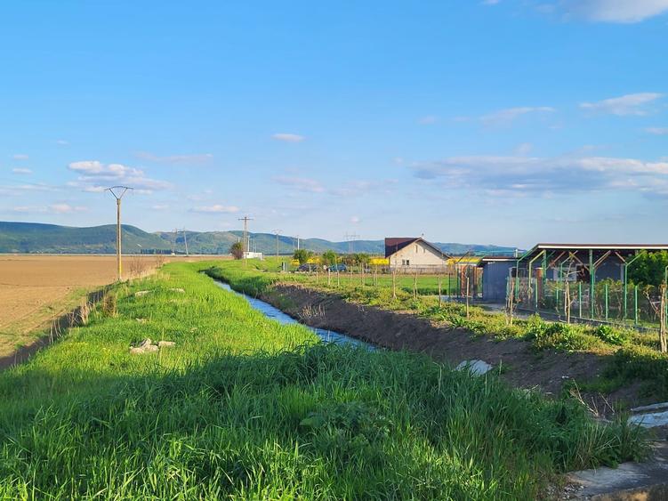 Teren extravilan, Letea Veche - 9