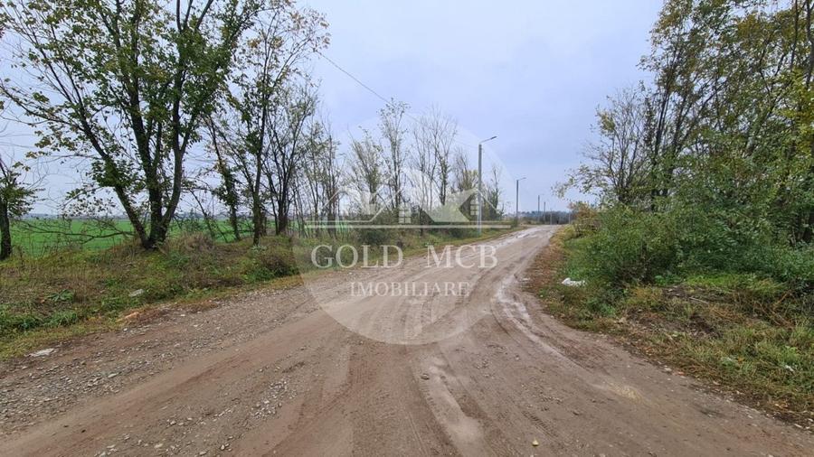 Teren Branesti -Romancierilor - 5