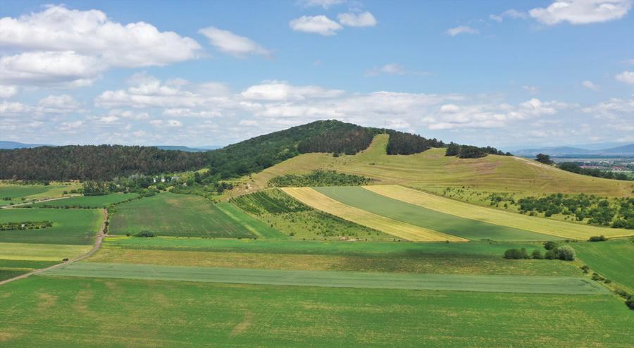 Loturi de casa langa Brasov intr-o locatie de vis - 6