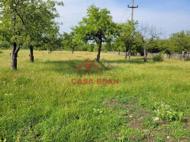 Teren intravilan in Campina, 1490mp--26.820e - 3